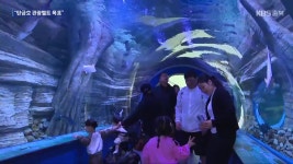 [여기는 충주] 충주 탄금공원 일대 관광 생태화 속도 - kakaoTV [여기는 충주] 충주 탄금공원 일대 관광 생태화 속도