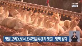 영암 오리농장서 조류인플루엔자 항원…방역 강화 - kakaoTV 영암 오리농장서 조류인플루엔자 항원…방역 강화