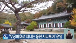 ‘무궁화호로 떠나는 홍천 시티투어’ 운영 - kakaoTV ‘무궁화호로 떠나는 홍천 시티투어’ 운영
