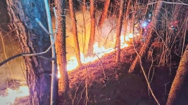 남원 산내면 산불 6시간 만에 주불 꺼 - kakaoTV 남원 산내면 산불 6시간 만에 주불 꺼