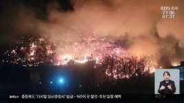 단양군 장림리 산불…주민 수십 명 대피 - kakaoTV 단양군 장림리 산불…주민 수십 명 대피