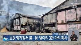 보령 양계장서 불…닭·병아리 3만 마리 폐사 - kakaoTV 보령 양계장서 불…닭·병아리 3만 마리 폐사