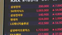 ‘100만닉스’·‘20만전자’ 돌파…대형주 쏠림 심화 - kakaoTV ‘100만닉스’·‘20만전자’ 돌파…대형주 쏠림 심화