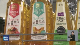 “과자·음료·소스에 다 쓰는데”…‘전분당’ 담합 제재 착수 - kakaoTV “과자·음료·소스에 다 쓰는데”…‘전분당’ 담합 제재 착수