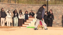 [부산] 부산 사상구 숲 속 반려동물 놀이터 운영 시작 - kakaoTV [부산] 부산 사상구 숲 속 반려동물 놀이터 운영 시작