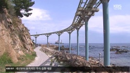 “누전 막을 전기 설비 기준 미달”…울진 스카이레일 부실 운영 의혹 - kakaoTV “누전 막을 전기 설비 기준 미달”…울진 스카이레일 부실... 