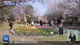 [강원관광지도] 도심 속 쉼터, 강원도립화목원…“봄 정취 물씬” - kakaoTV [강원관광지도] 도심 속 쉼터, 강원도립화목원…“봄 정취 물씬”