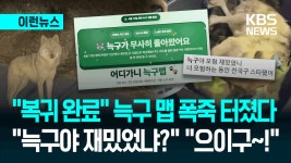 “동물농장 보는 느낌”…늑구 귀환 소식에 ‘감동 대폭발’ [이런뉴스] - kakaoTV “동물농장 보는 느낌”…늑구 귀환 소식에 ‘감동... 