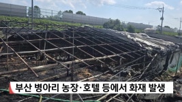 부산 병아리 농장*호텔 등에서 화재 발생 - kakaoTV 부산 병아리 농장*호텔 등에서 화재 발생