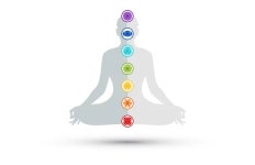 7 Chakras Images – Browse 7,190 Stock Photos, Vectors, and Video | Adobe Stock 7 Chakras Images – Browse 7,190 Stock Photos... 