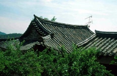 동주 - KRpia 검색결과