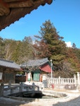 구룡지 - KRpia 검색결과