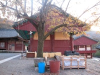 법왕 - KRpia 검색결과