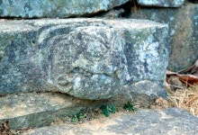 거북 - KRpia 검색결과