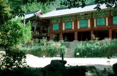 쌍계사 - KRpia 검색결과