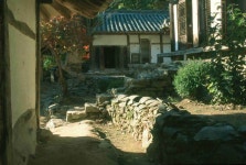 노전 - KRpia 검색결과