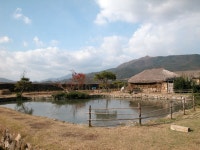 읍성 - KRpia 검색결과