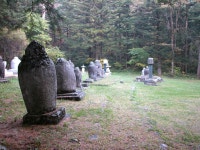 월정사 - KRpia 검색결과