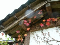 화장실 - KRpia 검색결과