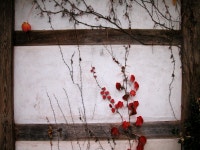 화장실 - KRpia 검색결과