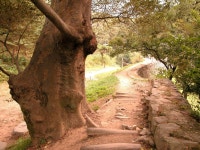 성로 - KRpia 검색결과