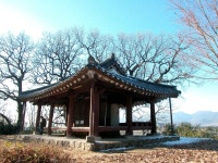 면앙 - KRpia 검색결과