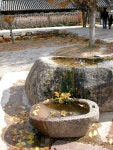 대흥사 - KRpia 검색결과