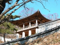 법고 - KRpia 검색결과