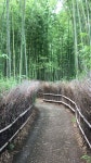 食いしん坊のメソッドさんが投稿した自家製麺 新渡月（京都/嵐山（京福））の口コミ詳細 [食べログ] 自家製麺 新渡月