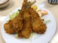 ネコねこさんさんが投稿した三忠食堂（東京/十条）の口コミ詳細 [食べログ] 三忠食堂