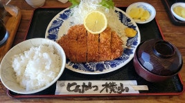 wu-taさんが投稿したとんかつ 横山（北海道/円山公園）の口コミ詳細 [食べログ] とんかつ 横山