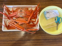 garachanさんが投稿したマリンドリーム能生（新潟/能生）の口コミ詳細 [食べログ] マリンドリーム能生