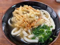 g294kobaさんが投稿した手のべうどん しらいし（愛媛/西大洲）の口コミ詳細 [食べログ] 手のべうどん しらいし