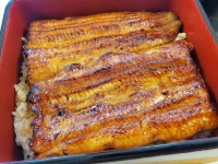 ちな.comさんが投稿した鰻割烹 伊豆栄 梅川亭（東京/上野）の口コミ詳細 [食べログ] 鰻割烹 伊豆栄 梅川亭