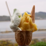 pateknautilus40さんが投稿したドルチェ 本店（広島/瀬戸田町林）の口コミ詳細 [食べログ] ドルチェ 本店