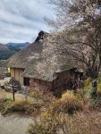 うるぐす1982さんが投稿した吉田家住宅（埼玉/竹沢）の口コミ詳細 [食べログ] 吉田家住宅