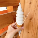 のっちむさんが投稿した神宮茶屋（北海道/西２８丁目）の口コミ詳細 [食べログ] 神宮茶屋