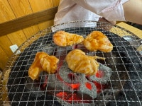 nyahotanさんが投稿したホルモンまさる （東京/三田）の口コミ詳細 [食べログ] ホルモンまさる 
