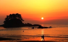 어디로 갈까? >해수욕장 > 태안군청 오감관광 태안 문화관광