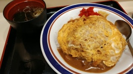 『九州のおうどん屋さん』by 呆れました : 【閉店】軍鶏と純手打ちうどん はし田本店 - 六本木/うどん [食べログ] 九州のおうどん屋さん...