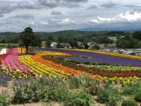 タクレレさんが投稿したコージー ジューススタンド（北海道/千代ヶ岡）の口コミ詳細 [食べログ] コージー ジューススタンド