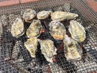 さすらいの旅人・全国各地孤独のグルメさんが投稿したくいどうらく（兵庫/坂越）の口コミ詳細 [食べログ] くいどうらく