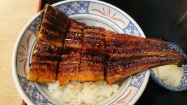 オンセンアシさんの「行った(口コミ)」お店一覧 [食べログ]