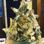 하마야키 센타 카키고야 - 니주욘켄/해물 | Tabelog