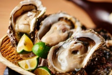 요코하마 시 에서 추천 바 | Tabelog