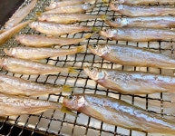 하마야키 센타 카키고야 - 니주욘켄/해물 | Tabelog