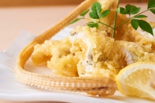 玄菜 本店 （げんさい・ほんてん）のご予約 - 新宿西口/居酒屋 | 食べログ 玄菜 本店 (新宿西口/居酒屋)
