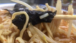 『五目そば： 魔法の醤油ダレと豚肉野菜出汁！そして五目具材から滲む優しい旨味感が馴染んで素晴らしき！』by TOMASSOON : 中華そば... 