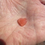 口コミ一覧 : 幸福堂 東京原宿直営店 - 明治神宮前/スイーツ [食べログ] 幸福堂 東京原宿直営店 (明治神宮前/スイーツ)