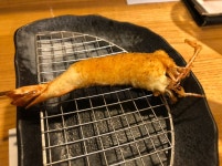 コージーパパさんの「行った(口コミ)」お店一覧 [食べログ]